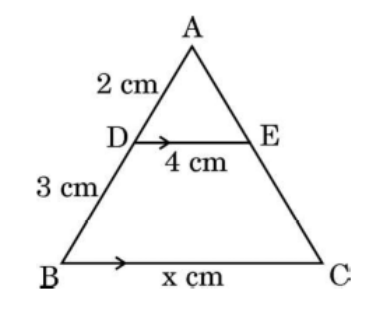 figure for this question