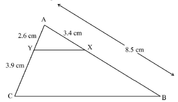 figure for this question