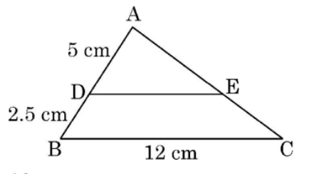 figure for this question