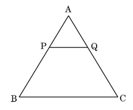 figure for this question