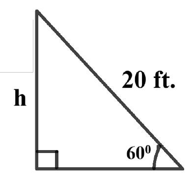 figure for this question