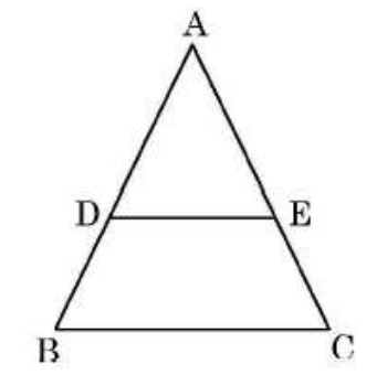 figure for this question