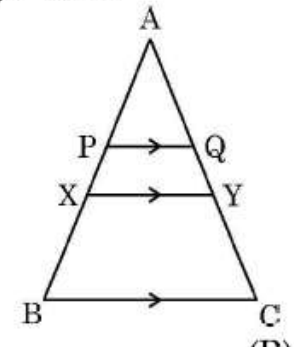 figure for this question